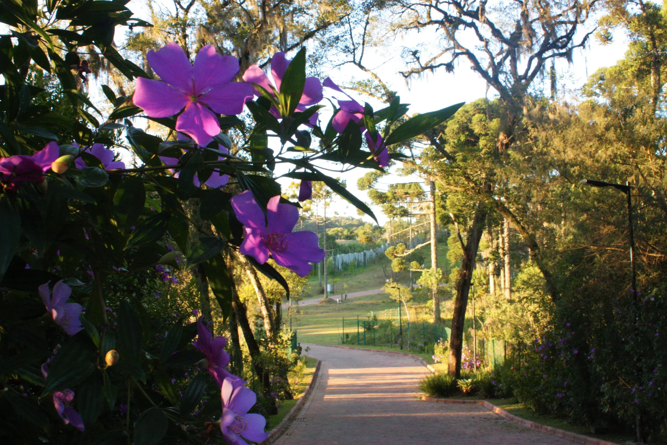 Imagem do Reserva Natural PortoFino